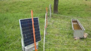 Solar Fencing for Farms? Moderning the Argiculture Industry