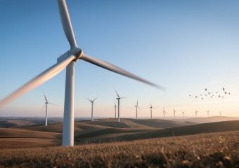 A modern wind turbine farm at golden hour with birds flying near the turbines across a natural landscape.